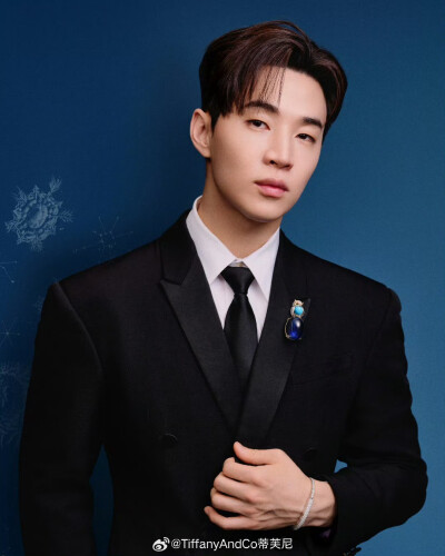 刘宪华Henry-Lau：
#蒂芙尼BlueBook高级珠宝# 苍穹之外，和我一起捕捉灵感万象，鉴赏蒂芙尼高级珠宝系列的非凡创想。#Tiffany高珠活动# @TiffanyAndCo蒂芙尼