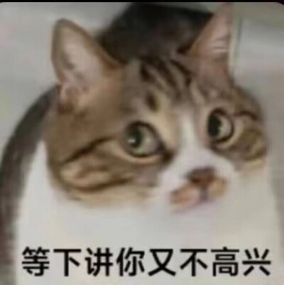 表情