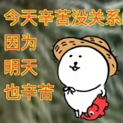 T^T