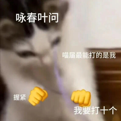 邪恶小鼻嘎 表情包