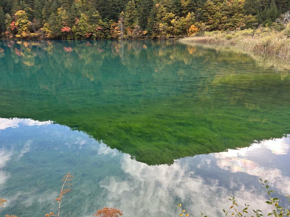 蓝有时淡化成绿