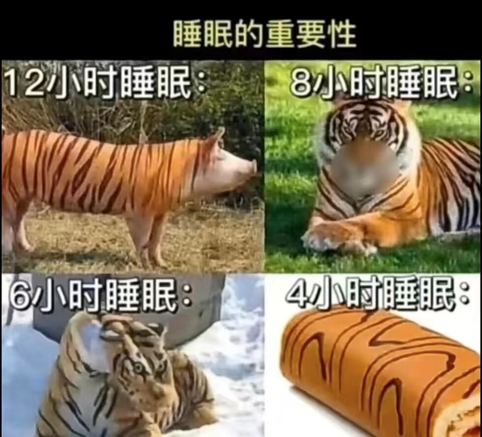 搞笑表情包 表情包 搞笑 meme