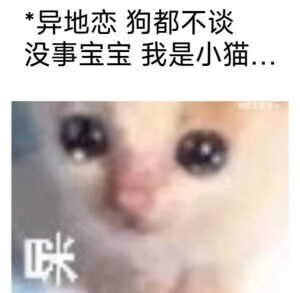 我的表情包呢