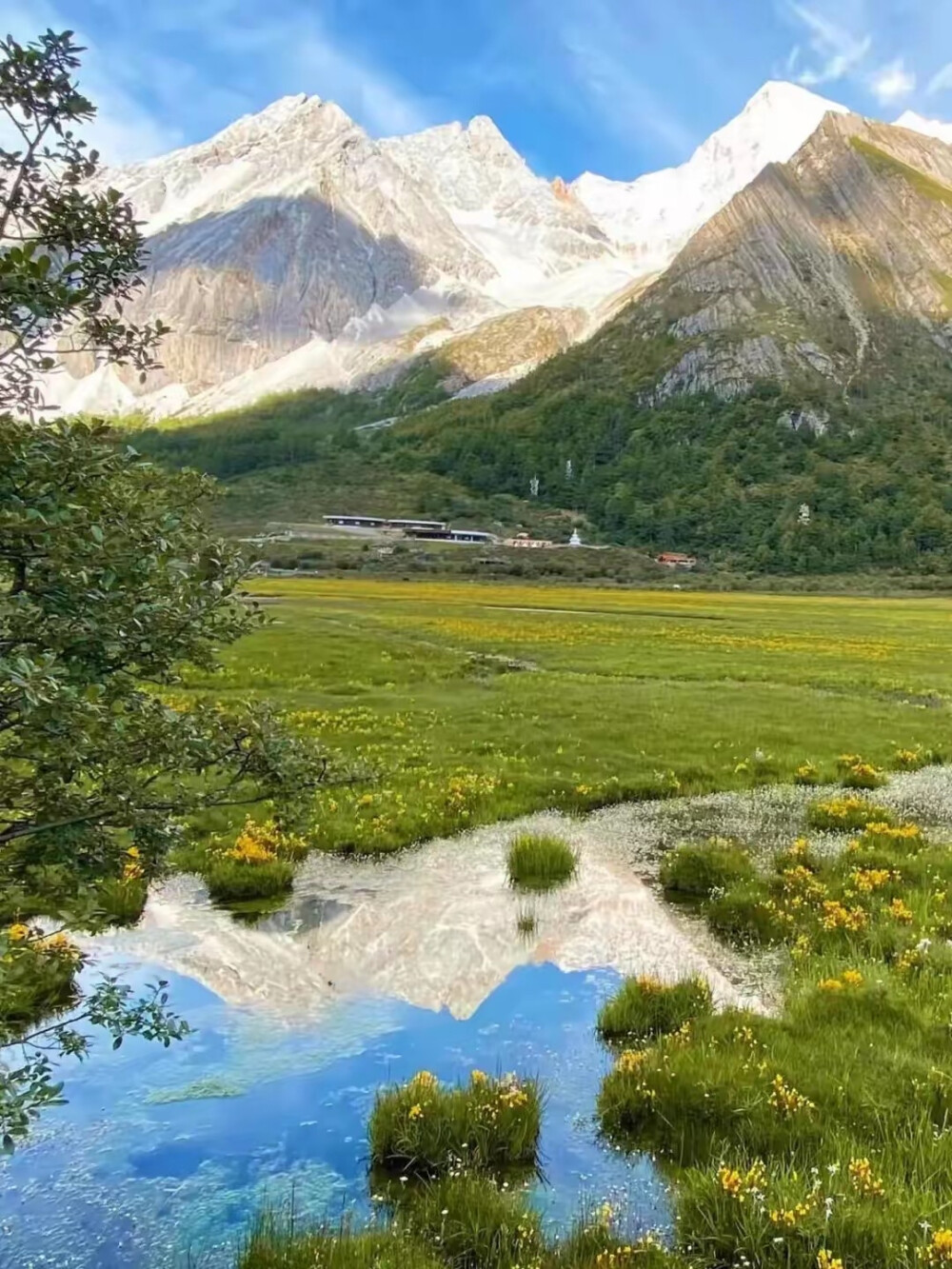 九寨沟的五色海子和山岭，
若尔盖大草原的无垠绿意，
瓦塔切林的经幡和白塔，
萝卜寨里黄泥碉楼诉说的千年时光，
人间瑶池圣地黄龙…