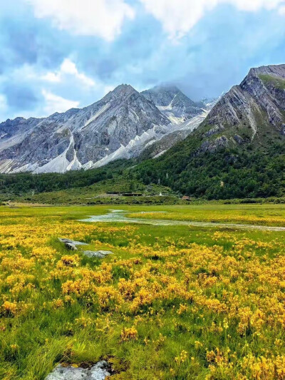 九寨沟的五色海子和山岭，
若尔盖大草原的无垠绿意，
瓦塔切林的经幡和白塔，
萝卜寨里黄泥碉楼诉说的千年时光，
人间瑶池圣地黄龙…