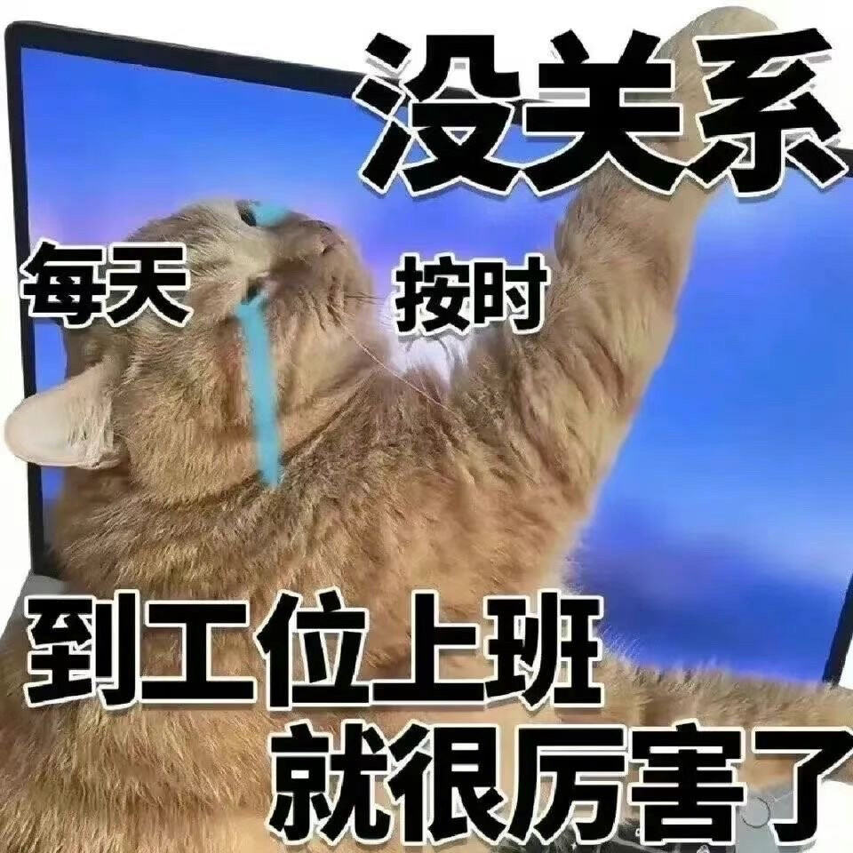 摆烂