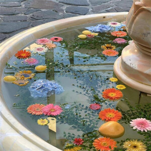 Ins风背景图