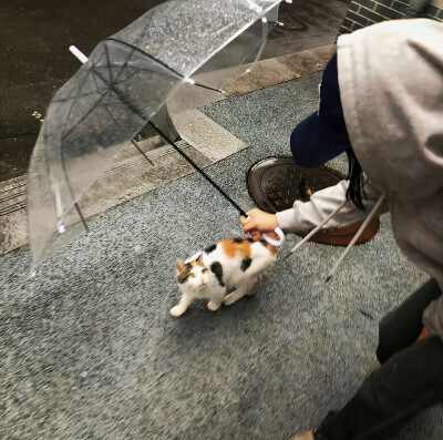 小众WeChat朋友圈背景图 .ᐟ‪.ᐟ.ᐟ