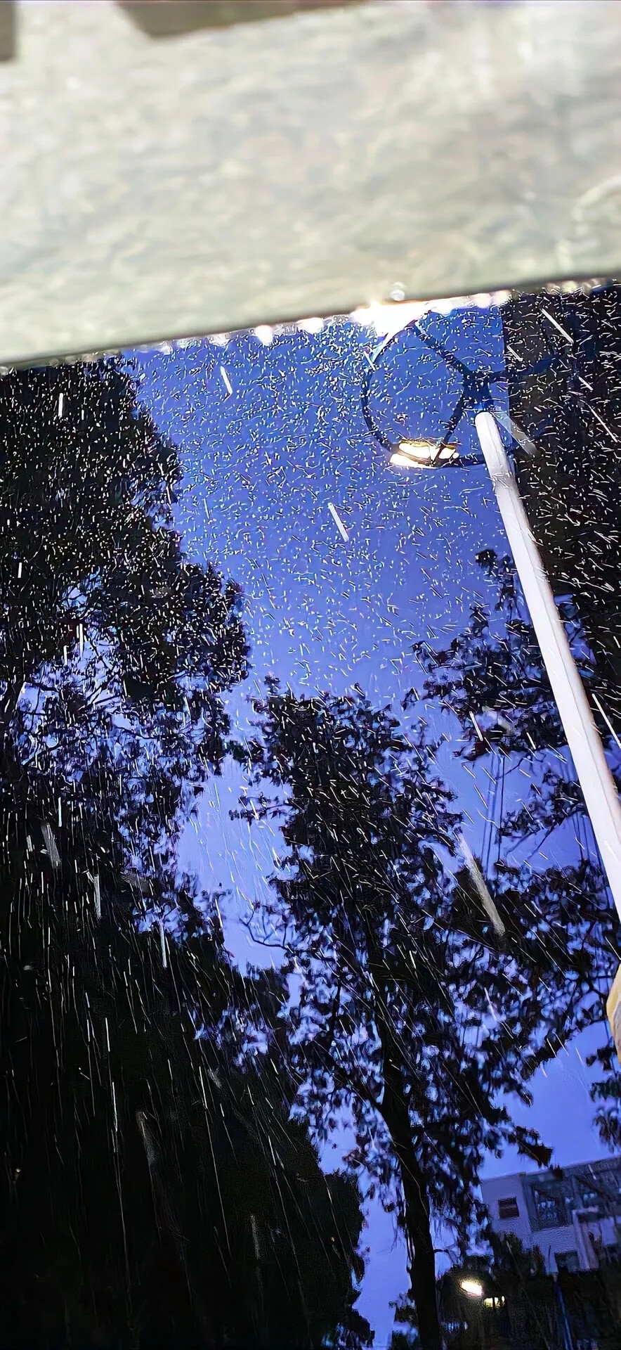 WeChat聊天背景图｜下雨天