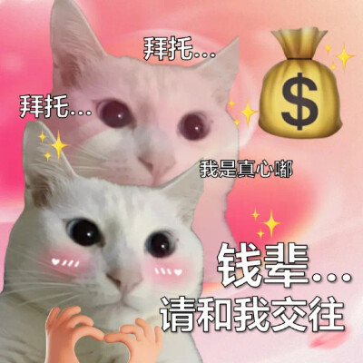 沙雕猫咪表情包