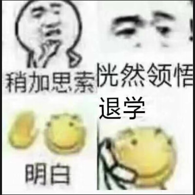 表情包