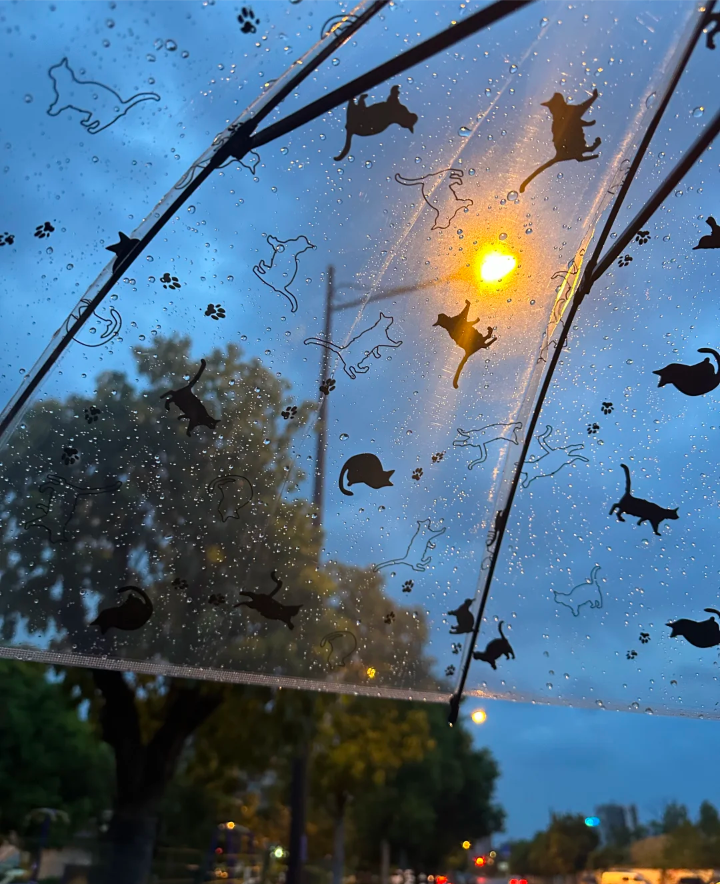 雨天背景图 夜晚背景图 蓝调背景图