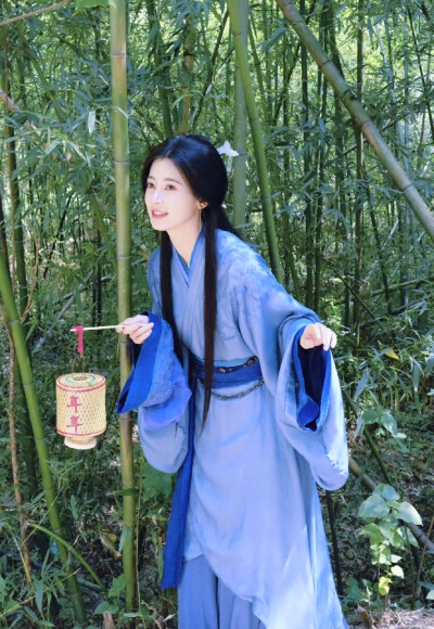 赵昭仪