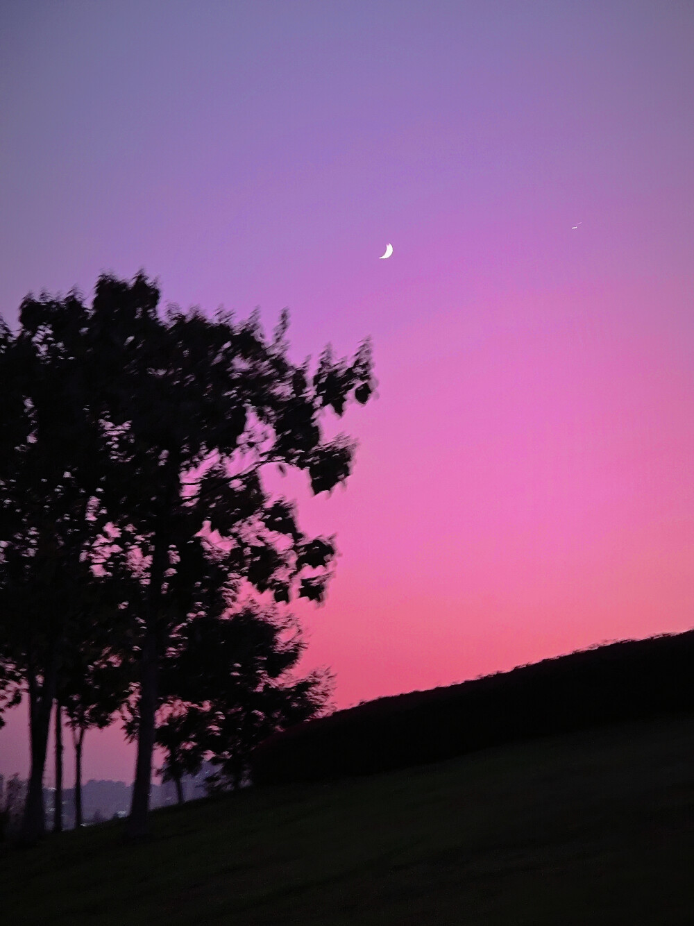 夜晚，公园，月亮，星星，天空