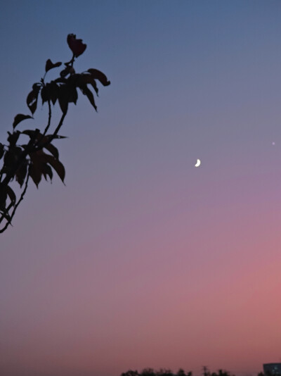 夜晚，公园，月亮，星星，天空