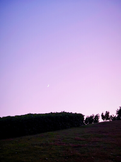 夜晚，公园，月亮，星星，天空