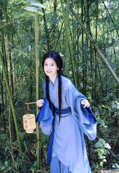 赵昭仪