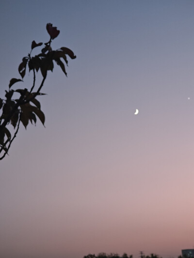 夜晚，公园，月亮，星星，天空