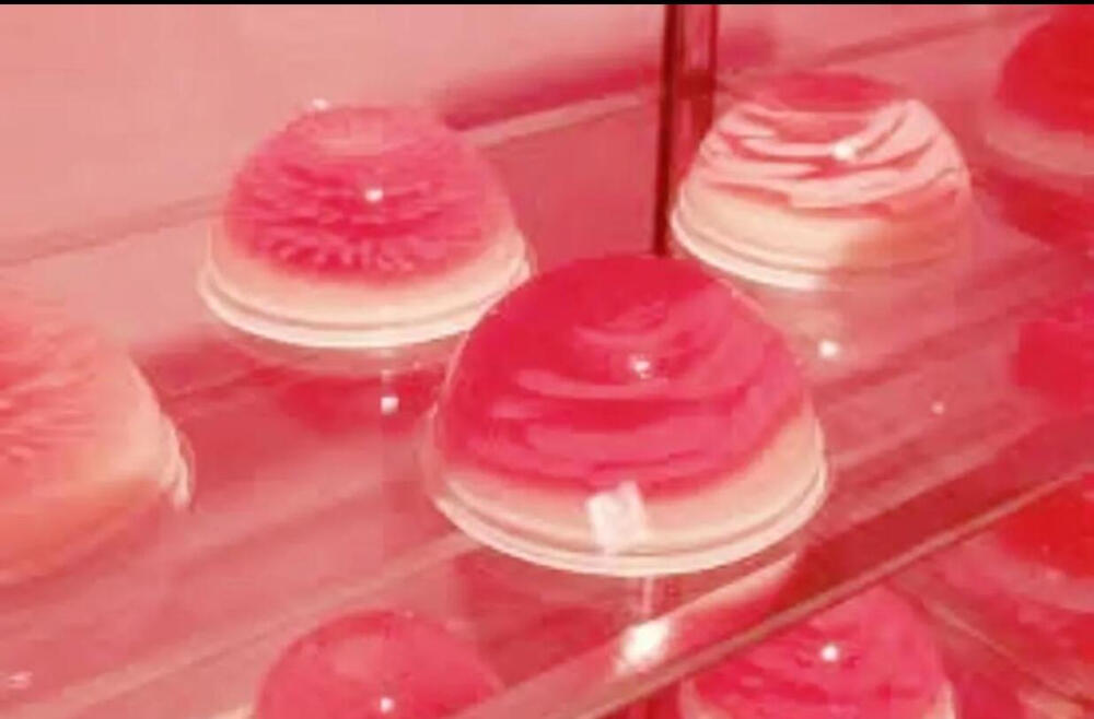 食核