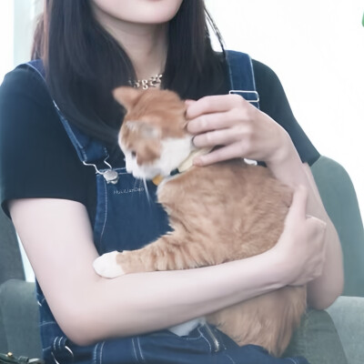 杨幂 头像