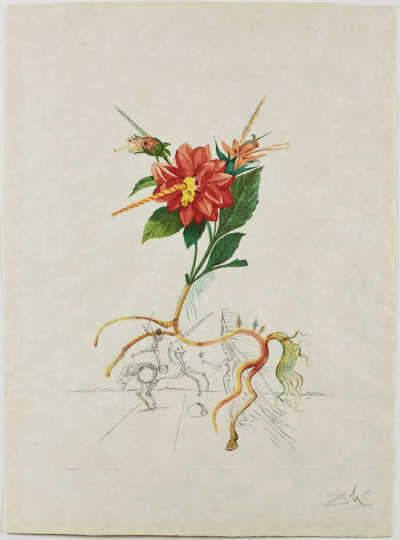 萨尔瓦多达利，大丽花（Dahlia unicornis），出自《达利之花（FlorDalí）》（1968 年）。佛罗里达州圣彼得堡达利博物馆收藏； © 萨尔瓦多·达利。加拉-萨尔瓦多达利基金会 (艺术家权利协会)，2024 年；照片：© Joseph…