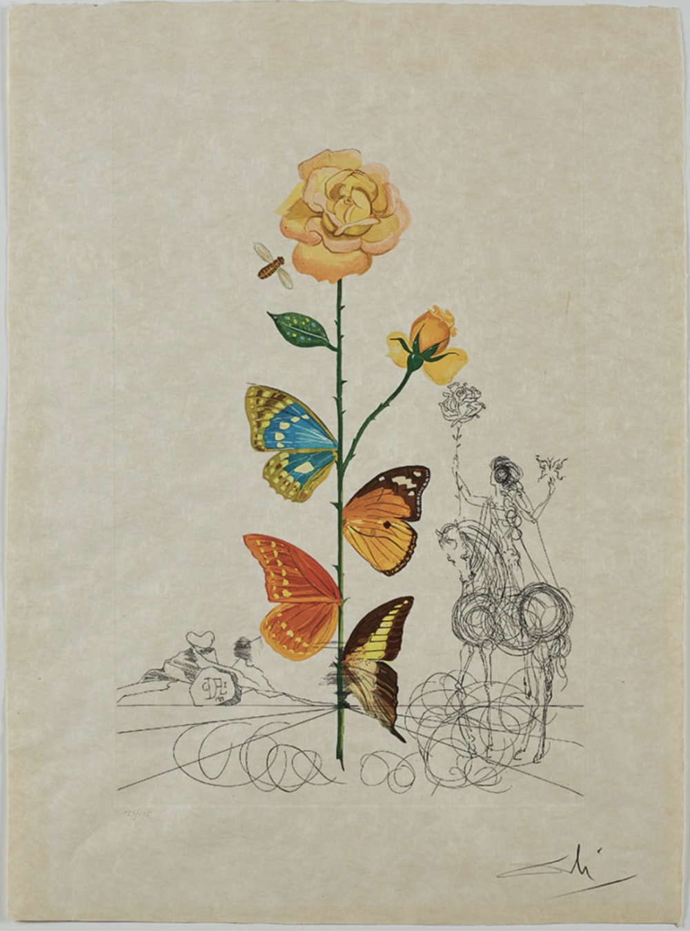 萨尔瓦多达利，玫瑰（Rosa papilio），出自《达利之花（FlorDalí）》（1968 年）。圣彼得堡达利博物馆藏，© 萨尔瓦多·达利。加拉-萨尔瓦多达利基金会 (艺术家权利协会)，2024 年；照片：© Joseph Siciliano USA，2019 年。