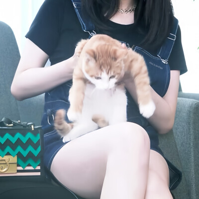 杨幂 头像