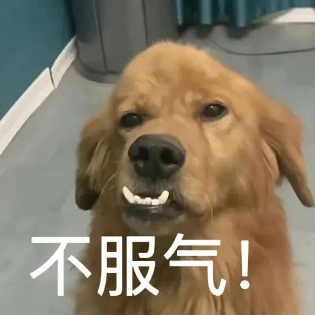 沙雕狗子表情包