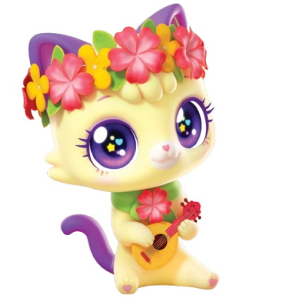 愿望猫