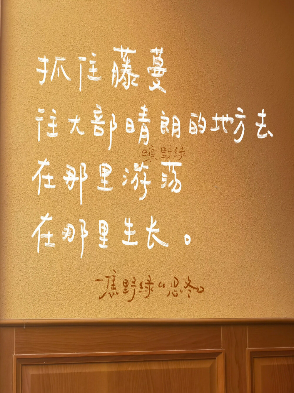 文字
cr.@焦野绿在写诗