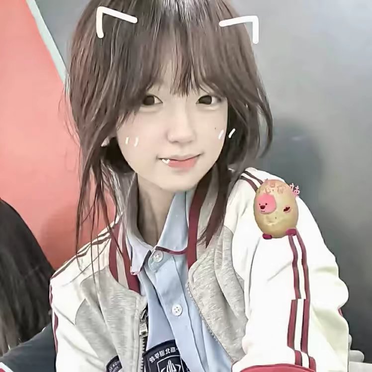 高质量女头