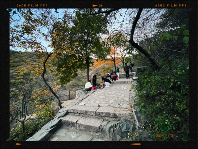 香山的路上的风景
