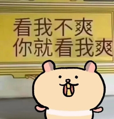 表情包