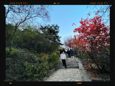 香山的路上的风景
