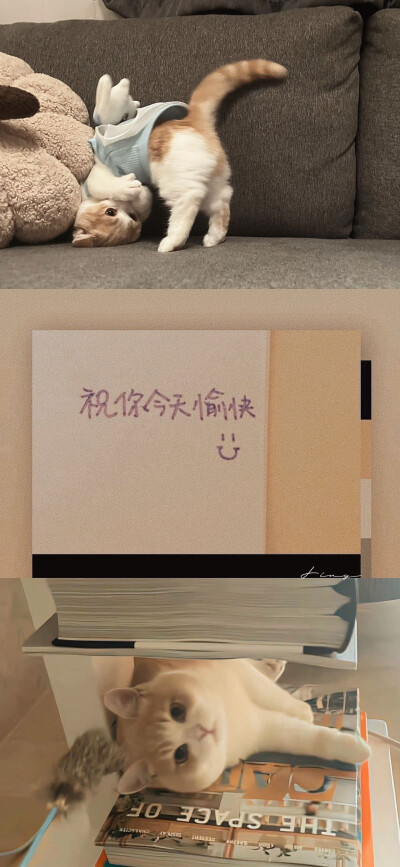 自制壁纸