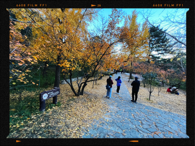 香山的路上的风景
