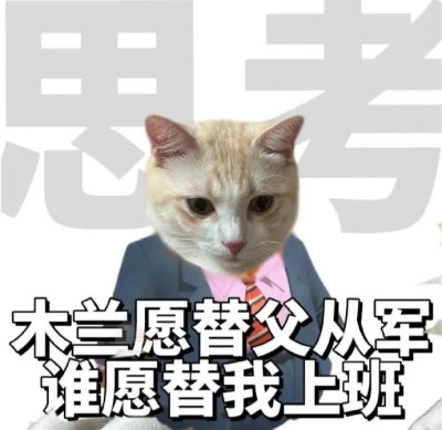 表情包