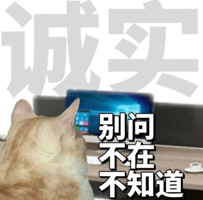 表情包