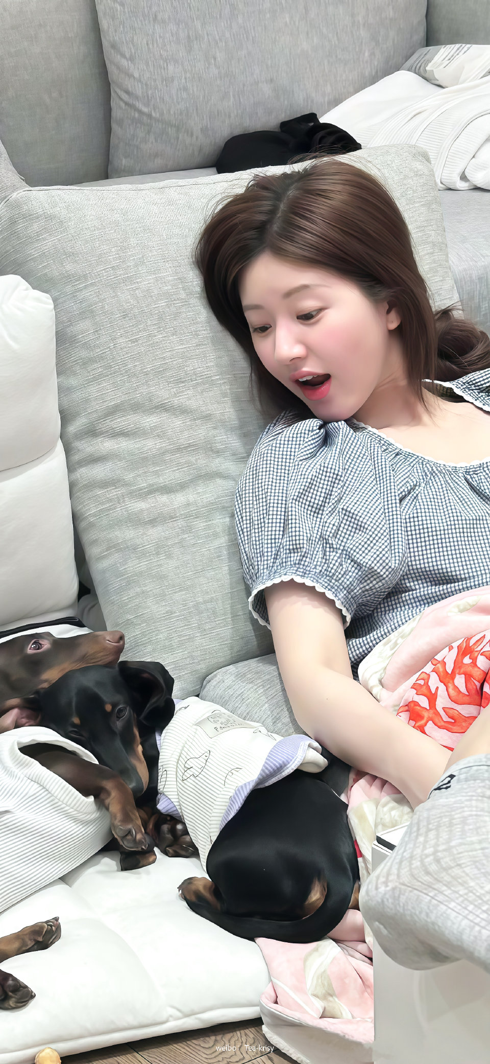 赵露思 壁纸