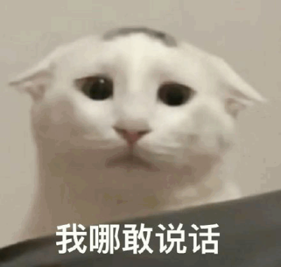 猫猫表情包