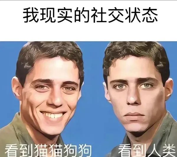 抽象表情包