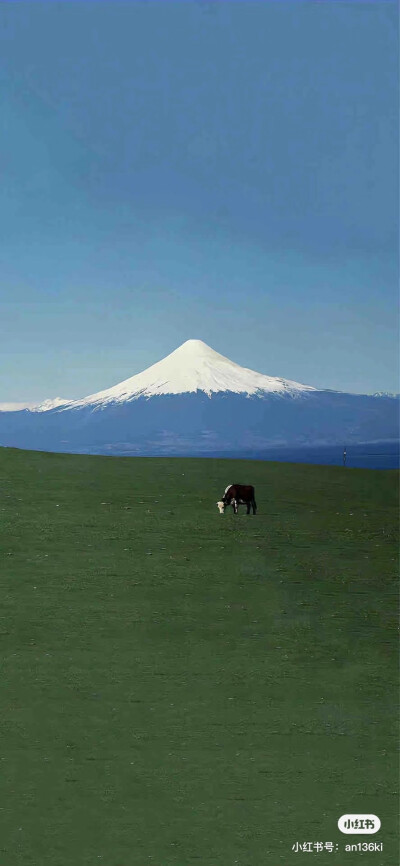 杂七杂八