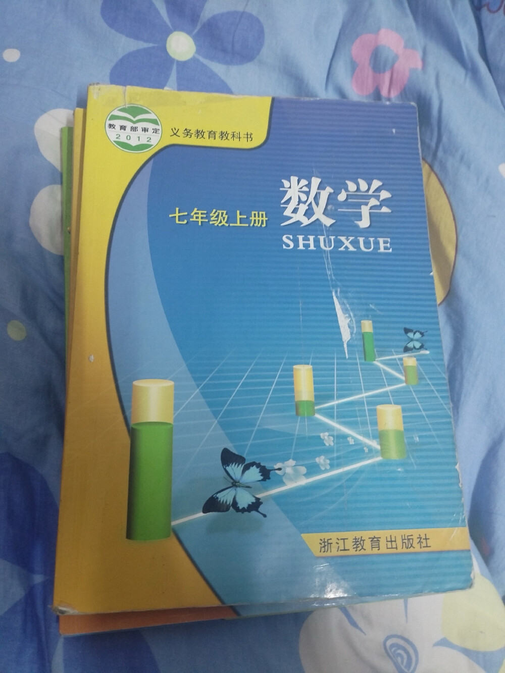 2024年1月21日
超级感谢去年2023年6月刚刚中考结束升入高中的我的可爱又帅气的侄子SLK借给我现在的初中数学教科书！
结合数学知识，希望我的机智聪明拥有设计天赋的脑袋瓜有更多的服装与服饰品设计的设计构思灵感！能够利用数学来赚钱！！
啊啊啊啊啊啊！从今天开始，我宣布从小不喜欢数学以及不擅长数学的我喜欢数学！！
​#数学 #math #服装设计 #服饰品设计