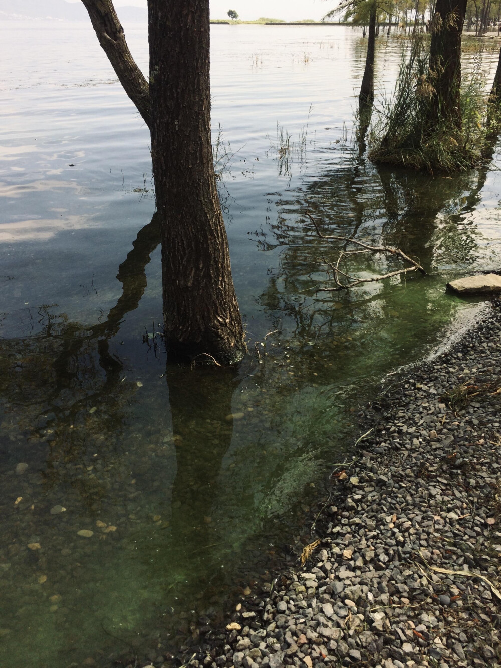 河水壁纸