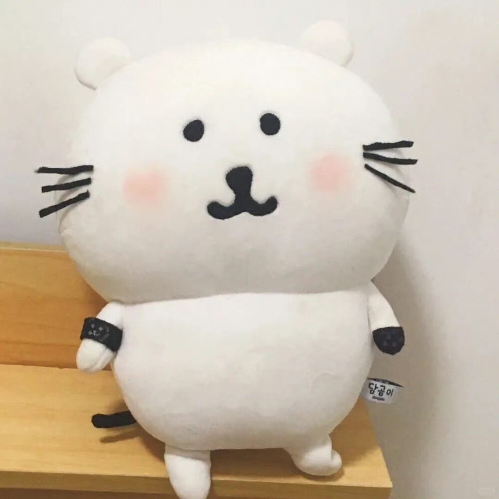 自嘲熊