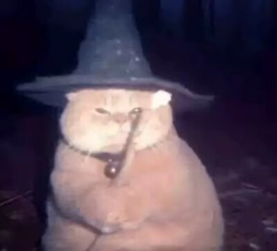 笑死我了(抽象贝贝们)