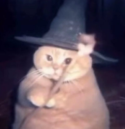 笑死我了(抽象贝贝们)