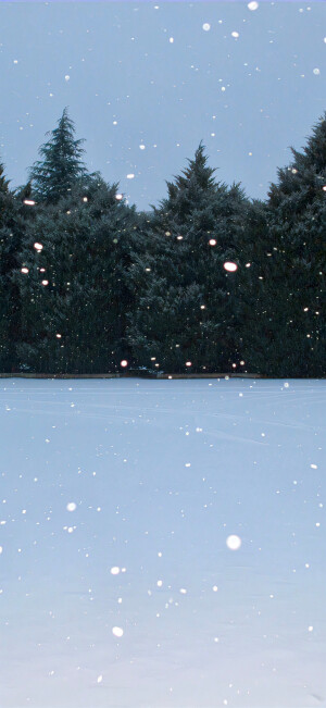 雪景壁纸