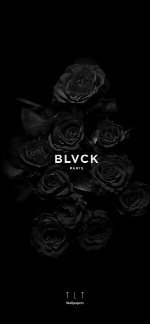 「黑色 black」