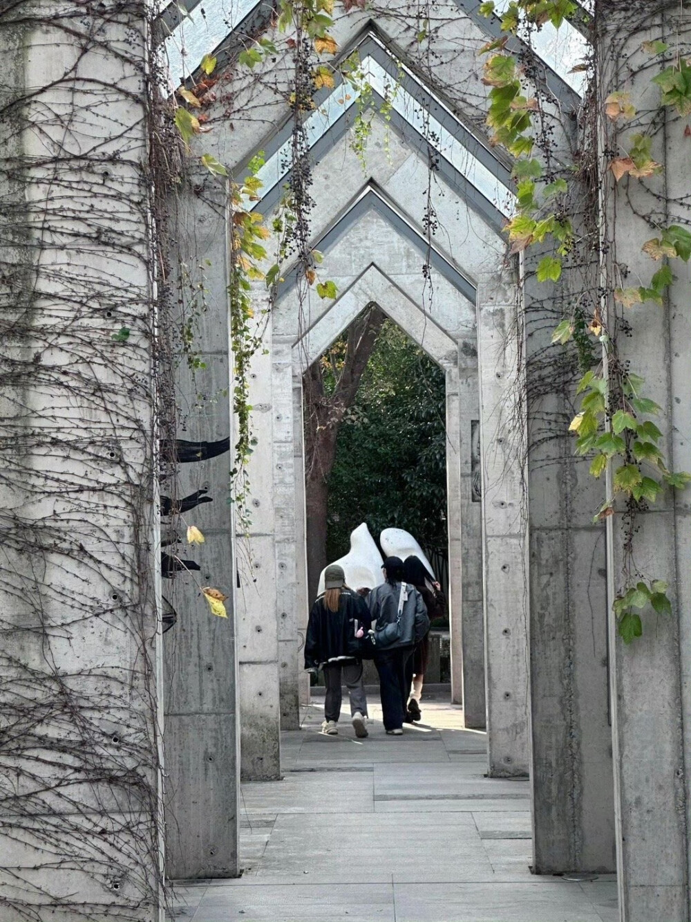 鞠婧祎